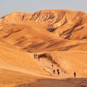 Mehr über den Artikel erfahren Der Jerusalem-Weg: Studienreise im Herbst 2023 – noch Plätze frei!