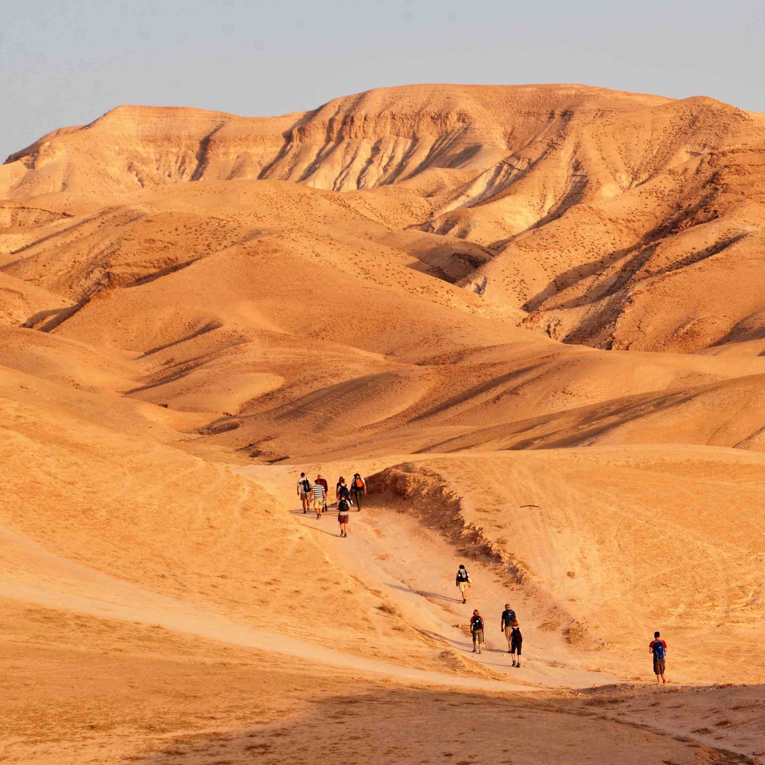 Mehr über den Artikel erfahren Der Jerusalem-Weg: Studienreise im Herbst 2023 – noch Plätze frei!