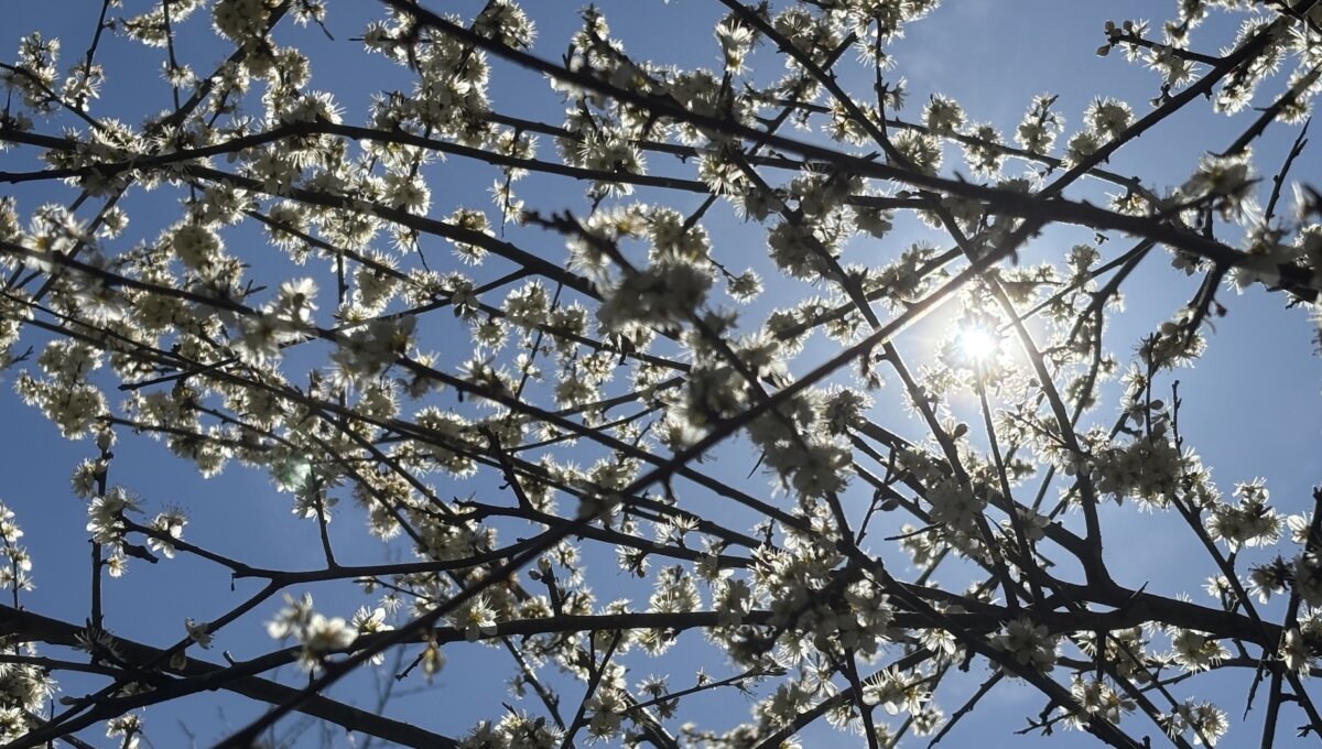 Frohe Ostern!